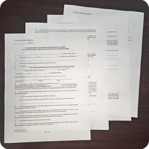 Birth Father Relinquishment Papers