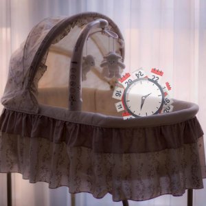 How Long Will it Take To Adopt